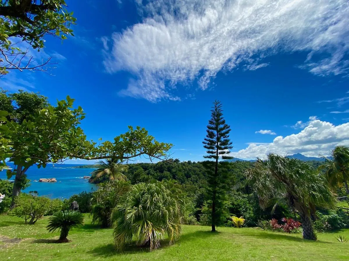 Sea Cliff Eco-Cottages & Gin Distillery Calibishie Hébergement de vacances
