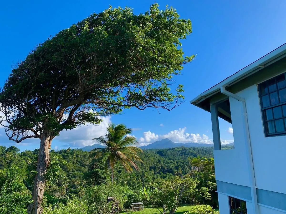 Sea Cliff Eco-Cottages & Gin Distillery Calibishie