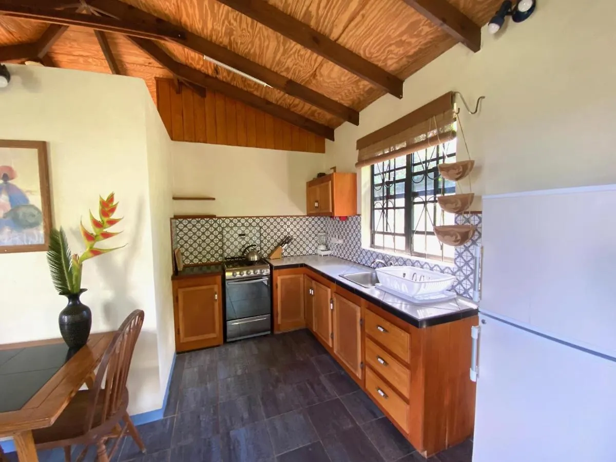 Sea Cliff Eco-Cottages & Gin Distillery Calibishie Hébergement de vacances