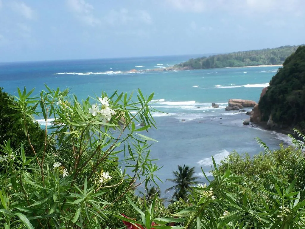 Sea Cliff Eco-Cottages & Gin Distillery Calibishie Hébergement de vacances